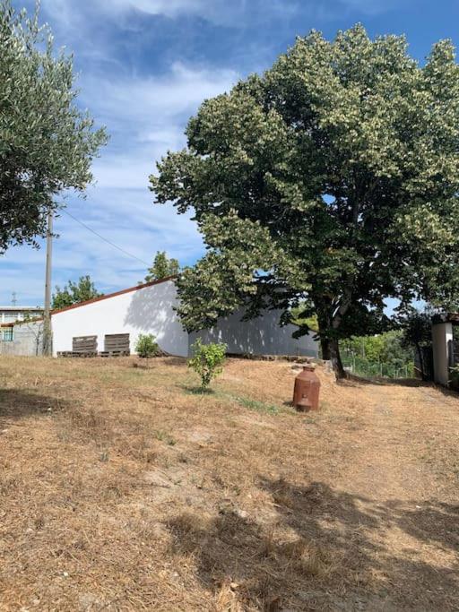 فيلا Casa Da Oliveira نيلاس المظهر الخارجي الصورة